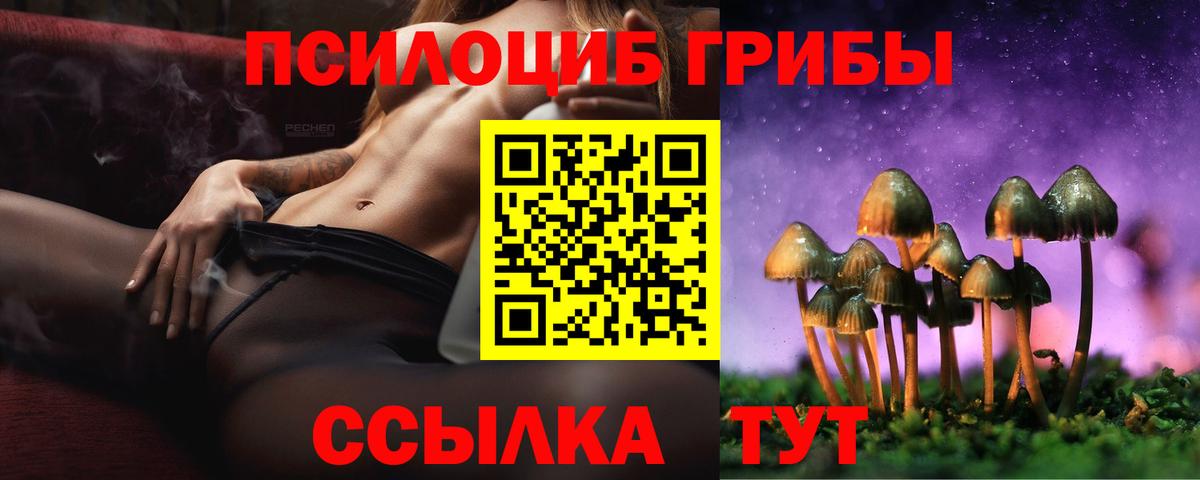 Полевской  Псилоцибиновые грибы мухоморы  Вход с VPN 
